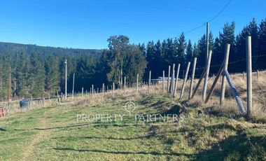 Parcela Panguipulli con electricidad y agua. Sector Los Tayos Altos