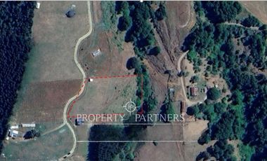 Parcela Panguipulli con electricidad y agua. Sector Los Tayos Altos