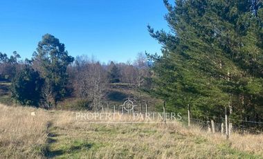 Parcela Panguipulli con electricidad y agua. Sector Los Tayos Altos