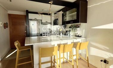 Amoblado Marzo a diciembre