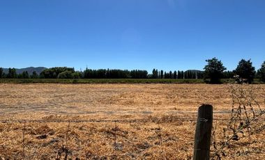 SECTOR LOS MAYOS, SAN VICENTE DE TAGUA TAGUA