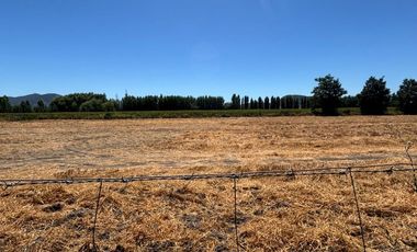 SECTOR LOS MAYOS, SAN VICENTE DE TAGUA TAGUA