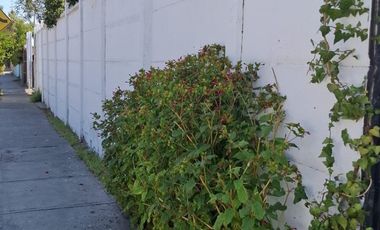 VENDO CASA EN CERRILLOS  GRAN TERRENO USO RESIDENCIAL O COM.