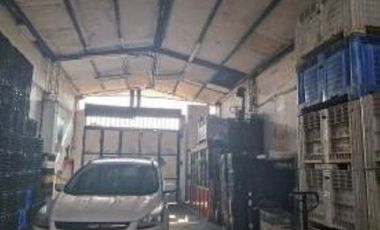 EXPOSICIÓN CON TUCAPEL CERCA DEL CLUB HÍPICO