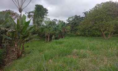 LINDO LOTE 1550 MTS...Urb. Oasis