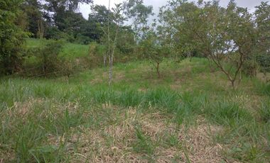 LINDO LOTE 1550 MTS...Urb. Oasis