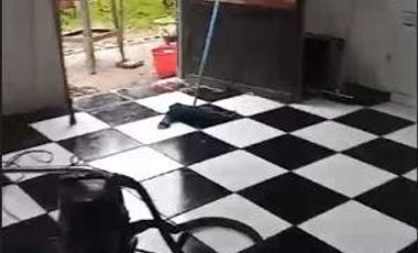 Casa quinta venta Guernica- 2 casas  y galpon-SALIDA A 2 CALLES