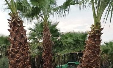 Rancho en Venta en Santa Fe, Cadereyta Jimenez