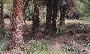 Rancho en Venta en Santa Fe, Cadereyta Jimenez