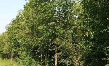 Rancho en Venta en Santa Fe, Cadereyta Jimenez