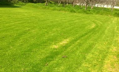 RANCHO en  Ocoyoacac a tan solo 30 min. de Santa Fe