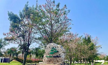 CASA EN RENTA DE UN NIVEL, Privada Parque Central al Norte de Mérida Yucatán