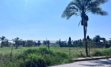 Terreno Comercial en Renta en San Andrés Cholula