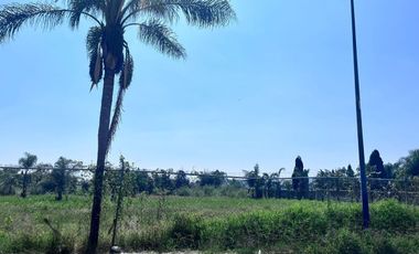 Terreno Comercial en Renta en San Andrés Cholula