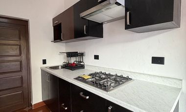 DEPARTAMENTO EN RENTA EN EL CENTRO