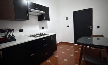 DEPARTAMENTO EN RENTA EN EL CENTRO