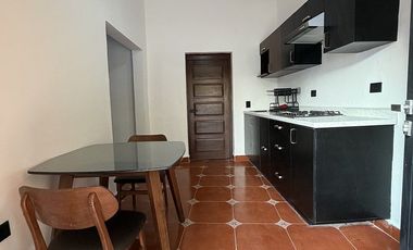 DEPARTAMENTO EN RENTA EN EL CENTRO