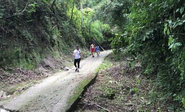 Finca en Bonda sector Santa Marta