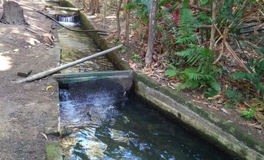 Finca en venta Bonda