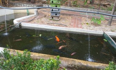 Finca en venta Bonda