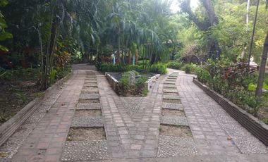 Finca en venta Bonda
