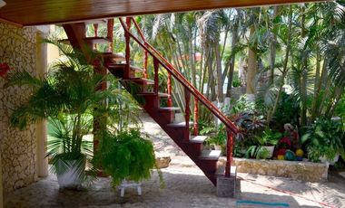 VENTA DE LOTE CON CABAÑA EN SALGAR