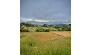 Venta Lote Parcelacion Alto Palmas