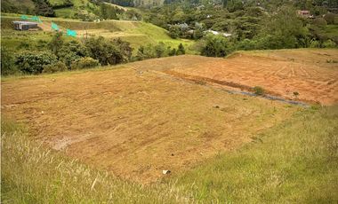 Venta Lote Parcelacion Alto Palmas