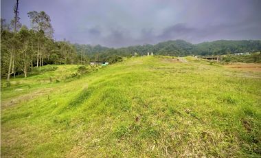 Venta Lote Parcelacion Alto Palmas
