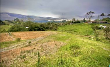 Venta Lote Parcelacion Alto Palmas