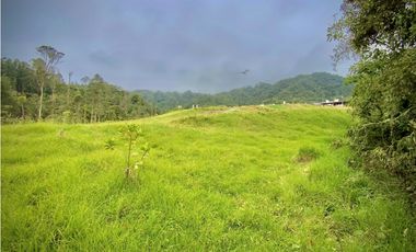 Venta Lote Parcelacion Alto Palmas