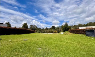Lote en Venta en Alto de las Palmas