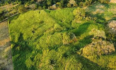 TOCAIMA FINCA EN VENTA 210000M2