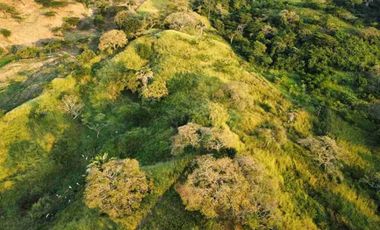 TOCAIMA FINCA EN VENTA 210000M2