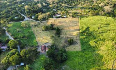 TOCAIMA FINCA EN VENTA 210000M2