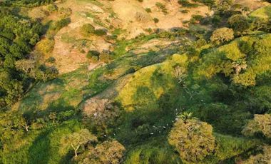 TOCAIMA FINCA EN VENTA 210000M2