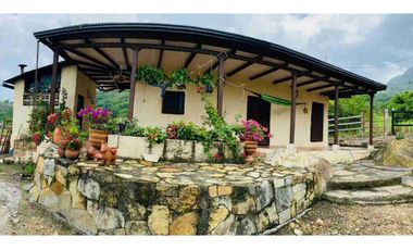 TOCAIMA FINCA EN VENTA 210000M2