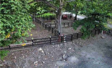 TOCAIMA FINCA EN VENTA 210000M2