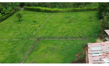 ‼ SE VENDE HERMOSA FINCA GANADERA Y CAMPESTRE EN ALCAL, VALLE