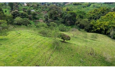 ‼ SE VENDE HERMOSA FINCA GANADERA Y CAMPESTRE EN ALCAL, VALLE