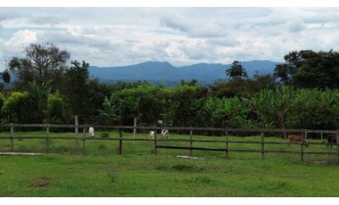 ‼ SE VENDE HERMOSA FINCA GANADERA Y CAMPESTRE EN ALCAL, VALLE