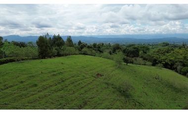 ‼ SE VENDE HERMOSA FINCA GANADERA Y CAMPESTRE EN ALCAL, VALLE