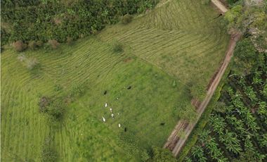 ‼ SE VENDE HERMOSA FINCA GANADERA Y CAMPESTRE EN ALCAL, VALLE