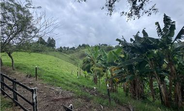 ‼ SE VENDE HERMOSA FINCA GANADERA Y CAMPESTRE EN ALCAL, VALLE