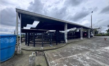 ‼ SE VENDE HERMOSA FINCA GANADERA Y CAMPESTRE EN ALCAL, VALLE