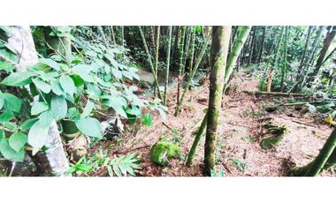 Casa campestre de 540 M2 en 750 mill en La Mesa Cund en Condominio