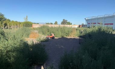 CASA DE 3 DORMITORIOS. CON PILETA. CHIMBAS