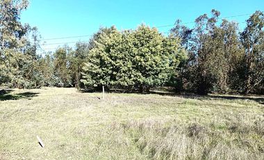 Parcela en venta  en MAULE