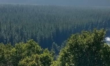 ¡HAY QUE IR!/Camping Los Galpones - Parcela - Venta