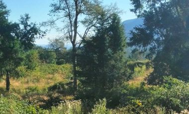 Parcela en venta  en VILLARRICA